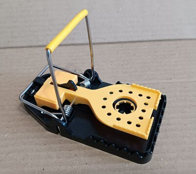 ��������� ��� ���� � ����� (����, ��� 1)