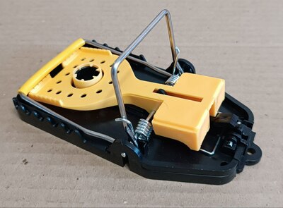 ��������� ��� ���� � ����� (����, ��� 2)