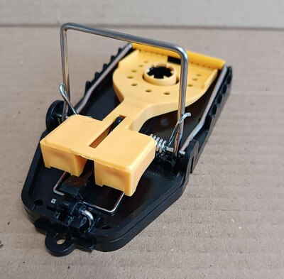 ��������� ��� ���� � ����� (����, ��� 3)