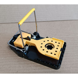 ��������� ��� ���� � �����. ��� 2