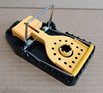 ��������� ��� ���� � ����� (����)